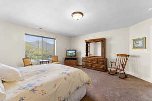 Bedroom with carpet, visible vents, baseboards, and a textured ceiling