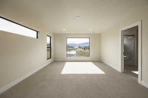 Home theater featuring light carpet, plenty of natural light, a textured ceiling, and recessed lighting