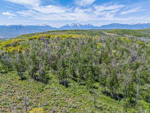 Mountain view with a heavily wooded area