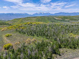 Mountain view with a forest