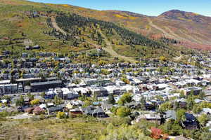 Bird's eye view with a mountain view and a forest view