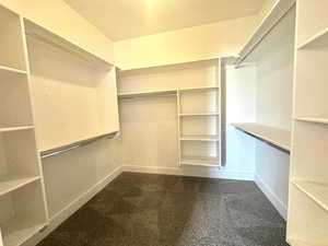 Walk in closet featuring carpet