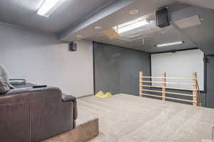Media room with tramp and slide