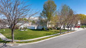 perfect corner lot, amazing side yard