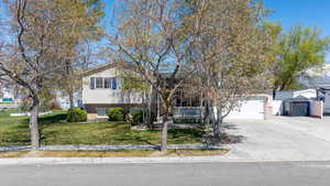 Sidewalk and tree-lined streets