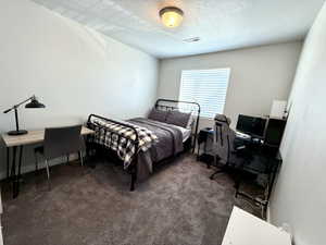 Carpeted bedroom with visible vents, baseboards, and a textured ceiling