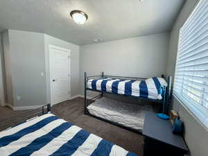 Bedroom featuring visible vents, multiple windows, and carpet floors