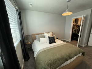 Carpeted bedroom with visible vents, a closet, baseboards, a spacious closet, and a textured ceiling
