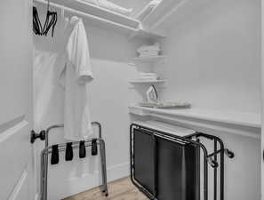 Spacious closet featuring light wood finished floors