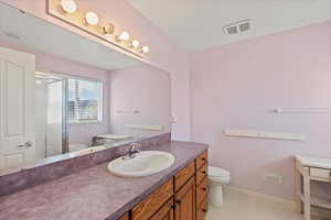 Bathroom with a shower stall, vanity, visible vents, and toilet
