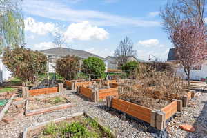 View of yard with a vegetable garden