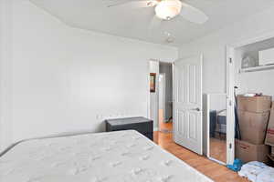 Bedroom featuring light wood-type flooring and a ceiling fan