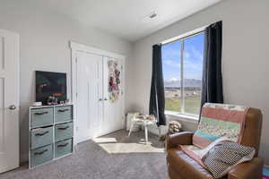 Sitting room featuring a wealth of natural light, carpet, visible vents, and a mountain view