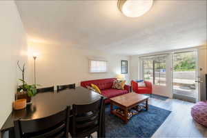 Living room and apartment entrance from front paito.
