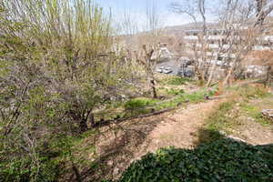 Terraced backyard down to property fence line.