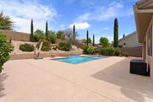View of pool featuring a fenced in pool, a patio area, and a fenced backyard