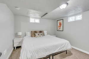 Bedroom featuring a textured ceiling, carpet flooring, baseboards, and multiple windows