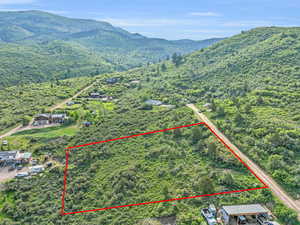 Bird's eye view with a forest view and a mountain view