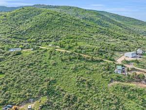 Drone / aerial view featuring a forest view