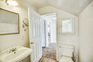 Bathroom featuring toilet, wood finished floors, a sink, and vaulted ceiling