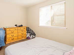 Carpeted bedroom featuring visible vents