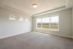 Spare room featuring carpet, visible vents, a tray ceiling, and baseboards