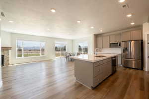 Kitchen featuring gray cabinets, open floor plan, a textured ceiling, appliances with stainless steel finishes, and a sink