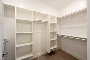 Spacious closet featuring dark carpet