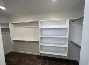 Walk in closet featuring carpet flooring