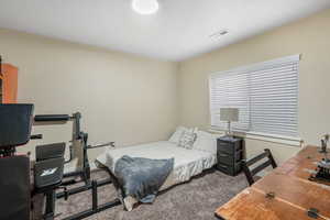 Carpeted bedroom featuring visible vents and baseboards