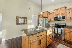Kitchen with dark stone countertops, dark wood finished floors, high vaulted ceiling, and stainless steel appliances