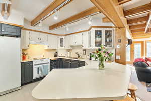 Kitchen with refrigerator, track lighting, white electric stove, a sink, and ventilation hood