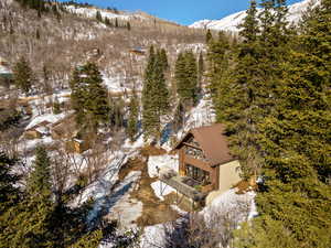 Snowy aerial view featuring a view of trees and a mountain view