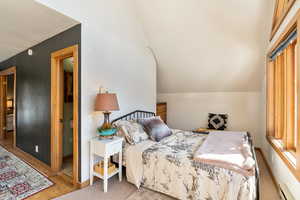 Bedroom featuring a baseboard radiator and vaulted ceiling