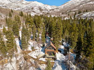 Snowy aerial view featuring a forest view and a mountain view