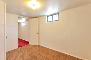 Basement featuring carpet floors