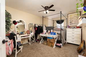 Bedroom with carpet flooring