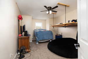 Bedroom with carpet