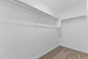 Spacious closet featuring carpet floors