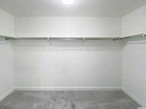 Walk in closet featuring carpet