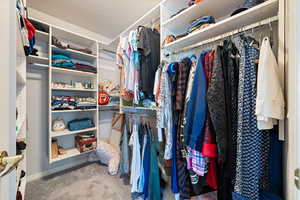 Spacious closet featuring carpet flooring