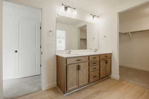 Bathroom with a sink, a walk in closet, and double vanity