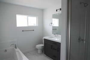 Full bathroom with a wealth of natural light, vanity, marble finish floor, and a bath