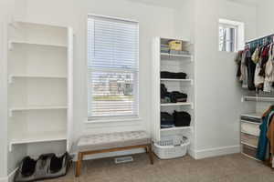 Spacious closet featuring visible vents and carpet floors