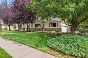 View of property hidden behind natural elements featuring stone siding, a front yard, stucco siding, and a garage