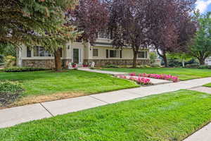 View of property hidden behind natural elements with stucco siding, stone siding, and a front lawn