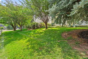 View of grassy yard