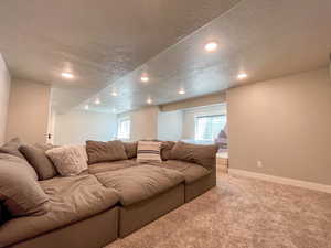 Basement Family room alternate view