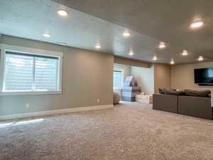 Basement Family room