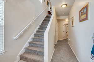 Stairs featuring carpet and baseboards